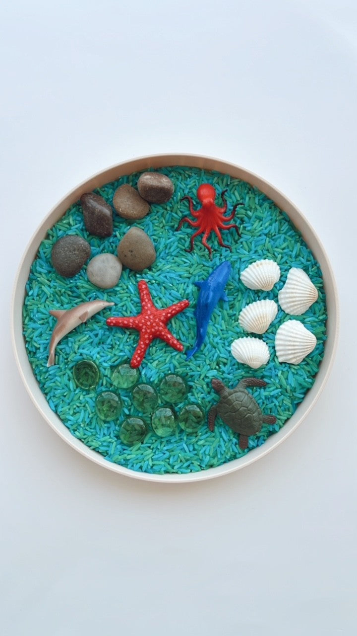 Eco-Friendly Sensory Tray with Removable Inserts