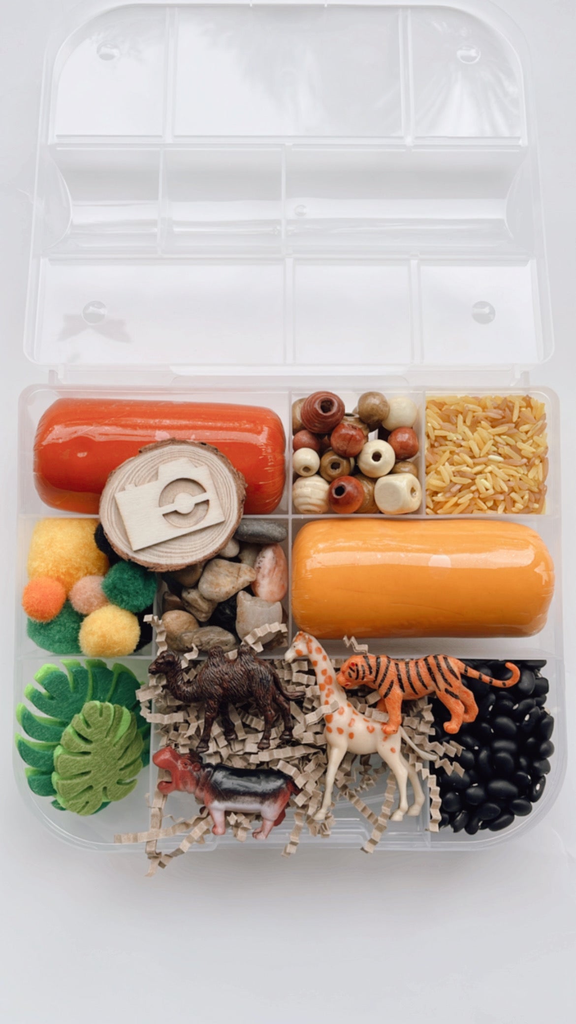 Safari Animal Playdough Activity Kit