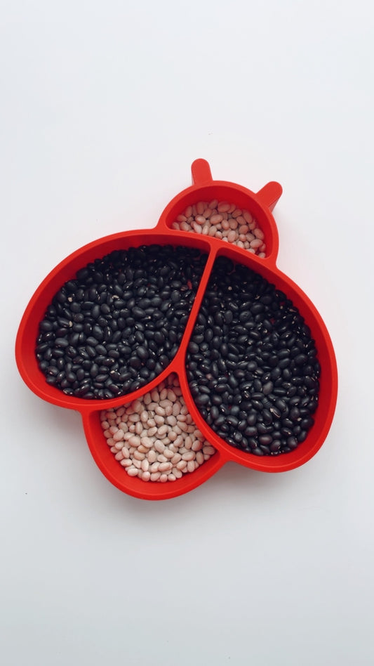 Ladybug Sensory Tray