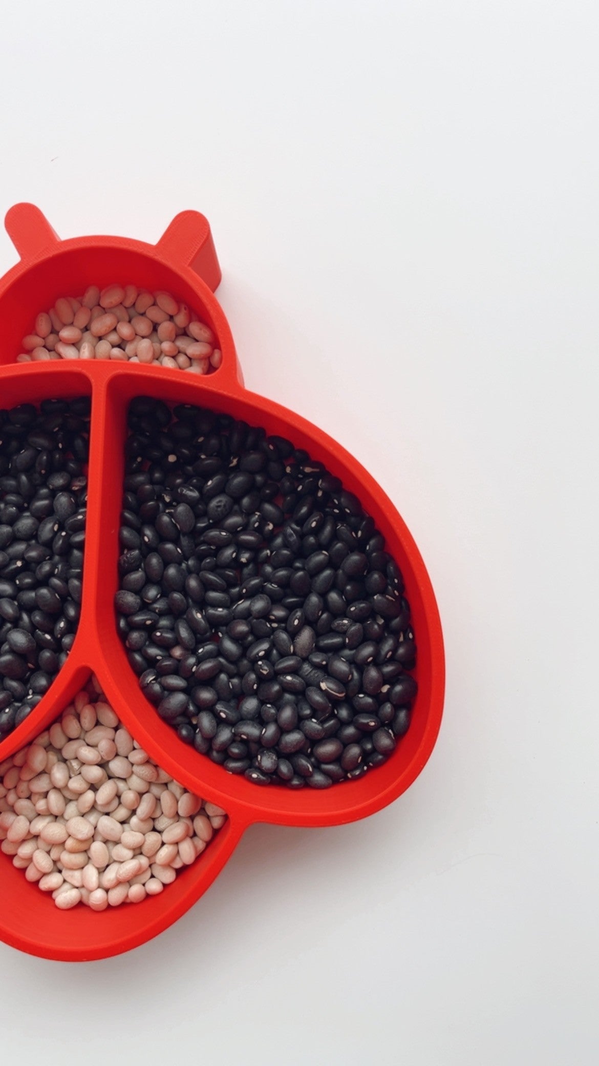 Ladybug Sensory Tray