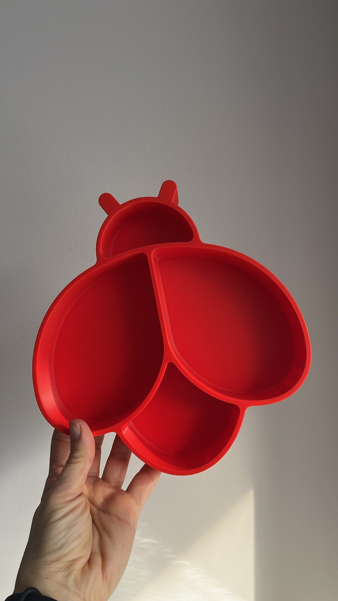 Ladybug Sensory Tray