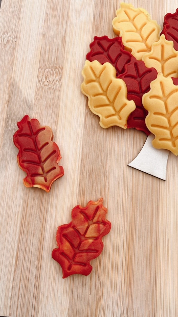 Falling Leaves Playdough Kit