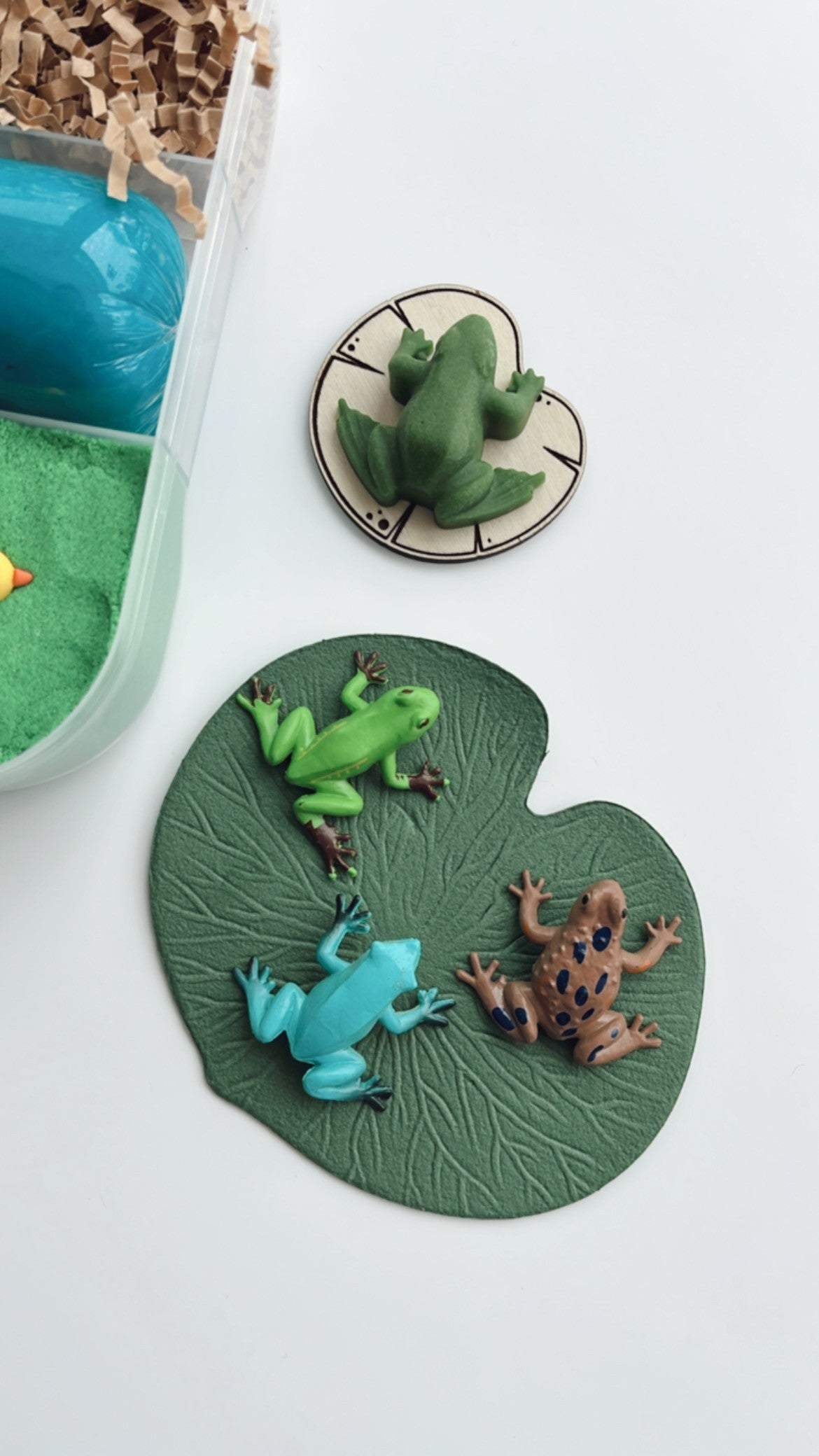 Spring Pond Playdough Kit