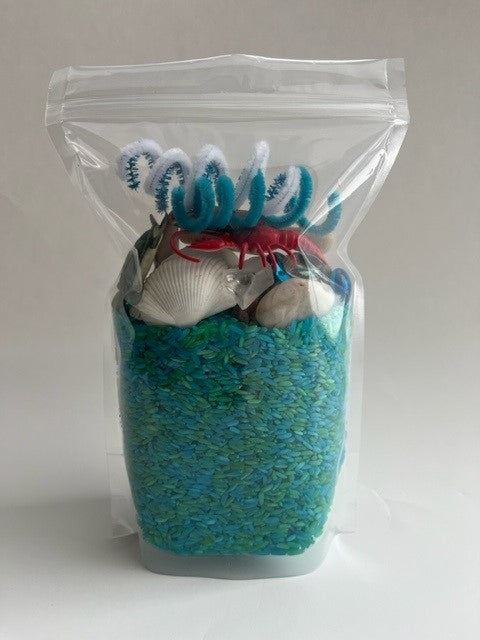 Dump and Discover Sensory Rice Bags