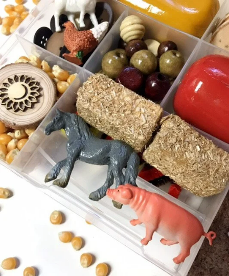 Farm Fun Sensory Playdough Kit